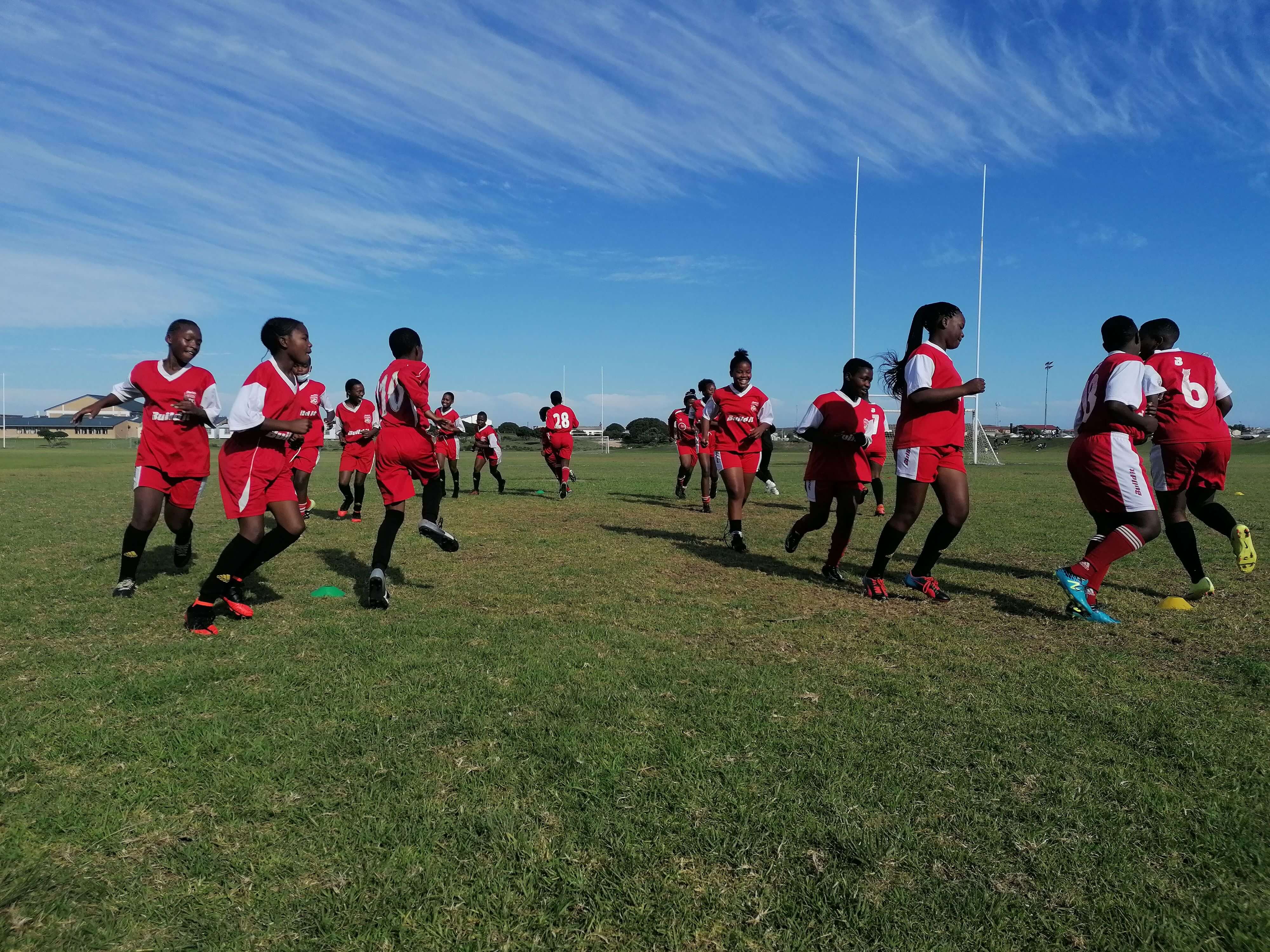 GROOTBOS-4